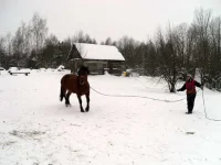 SAM_0349.webp