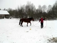 SAM_0340.webp