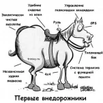 f2520aac8456.webp