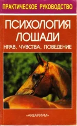 Психология лошади..webp