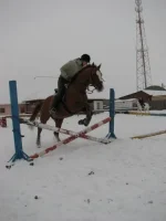 x_9ae6f582[1].webp
