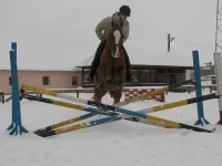 x_2582222e[1].webp