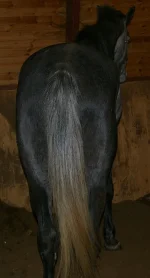 IMGP9961.webp
