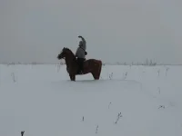 x_2e2af27a[1].webp