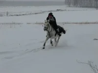 x_81cf712e[1].webp