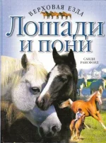 ве и лоша.webp