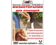 физтер.webp