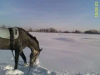 DC100223015.webp