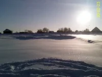 DC100223016.webp