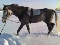 DC100223004.webp