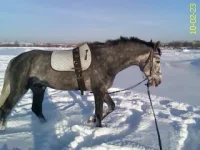 DC100223006.webp