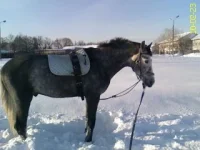 DC100223009.webp