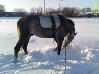 DC100223012.webp