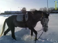 DC100223014.webp