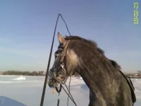 DC100223022.webp