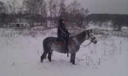 IMAG0313.webp