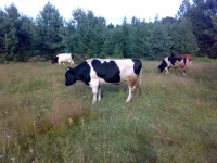 040820112991.webp