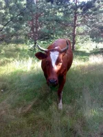 040820112993.webp
