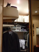 P1120511.webp