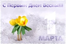 71422618_1march.webp