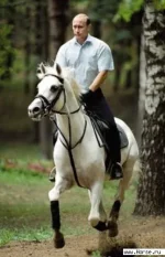 photo_album.webp