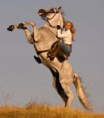 sam.webp