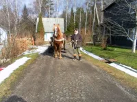 SAM_2592.webp