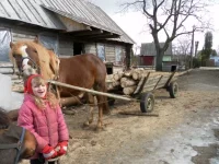 SAM_2597.webp