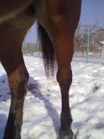 28022012352.webp