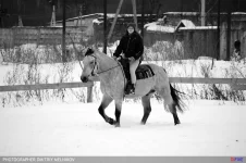 DSC_5177.webp