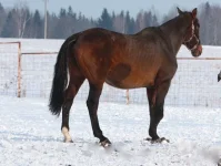 x_fbb13d94.webp