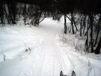 IMG_0012.webp