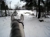 IMG_0024.webp