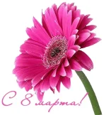 x_1aa44479.webp