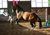 x_a6b122a2.webp