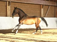 x_222b08ce.webp