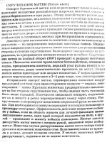 IMG_3728_resize.webp