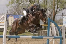 y_e1cd3e11.webp