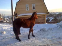 09032012196.webp