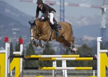с equestrian by Мурочка.webp