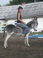 x_fadccd58.webp