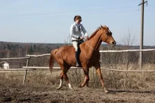 x_892e1a7f.webp