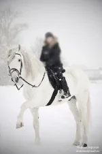 x_8a4e9714.webp