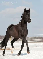 x_e140a9ce.webp