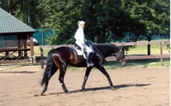 004.webp