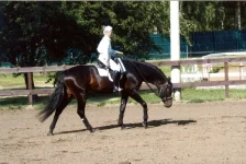005.webp