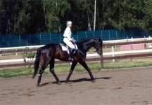008.webp