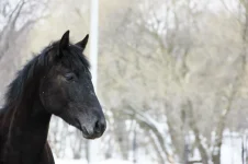 Соня март 2012-2.webp