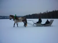 P1010738.webp