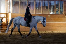 IMGP6757.webp